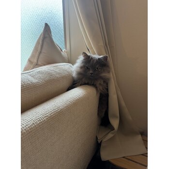 ハーブピーリング後の乾燥、皮剥けのメイク法^ - ^