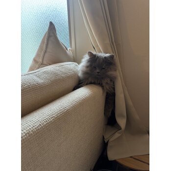 部屋の湿度をあげる重要性^_^